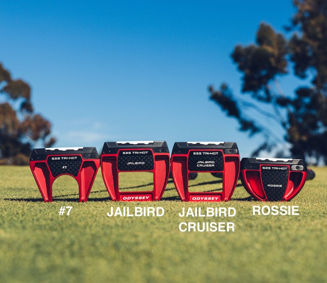 日本発売のモデル種類と自分に合う選び方